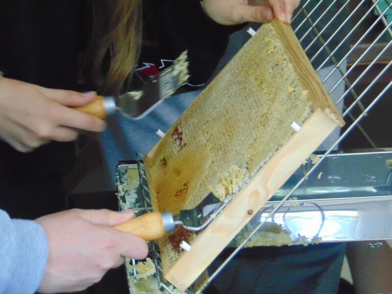 Včelařský zážitek