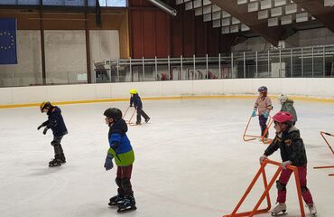 Základní škola, Česká Lípa, 28. října 2733, příspěvková organizace