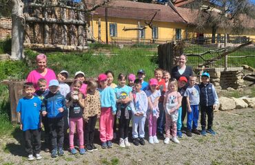 Základní škola, Česká Lípa, 28. října 2733, příspěvková organizace
