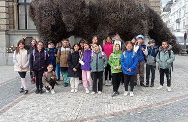 Základní škola, Česká Lípa, 28. října 2733, příspěvková organizace