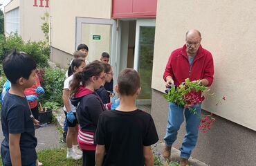 Základní škola, Česká Lípa, 28. října 2733, příspěvková organizace