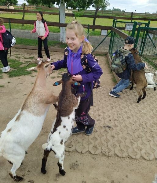 2. D v největším kontaktním zooparku v Čechách