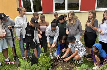 Základní škola, Česká Lípa, 28. října 2733, příspěvková organizace