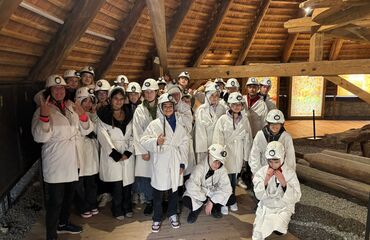 Základní škola, Česká Lípa, 28. října 2733, příspěvková organizace