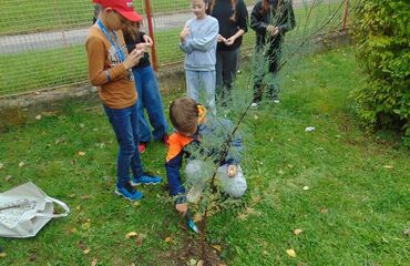 Základní škola, Česká Lípa, 28. října 2733, příspěvková organizace