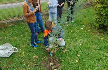 Vysazujeme a ochutnáváme
