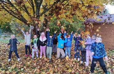 Základní škola, Česká Lípa, 28. října 2733, příspěvková organizace