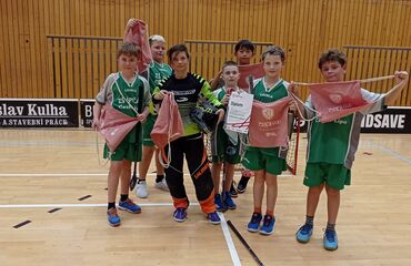 Základní škola, Česká Lípa, 28. října 2733, příspěvková organizace