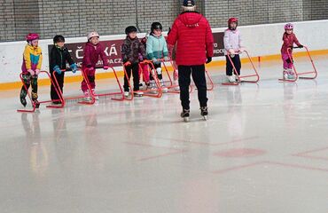 Základní škola, Česká Lípa, 28. října 2733, příspěvková organizace