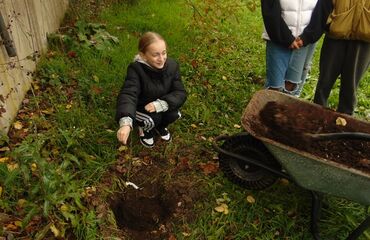 Základní škola, Česká Lípa, 28. října 2733, příspěvková organizace