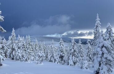 Základní škola, Česká Lípa, 28. října 2733, příspěvková organizace