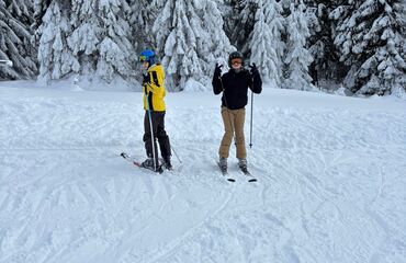 Základní škola, Česká Lípa, 28. října 2733, příspěvková organizace