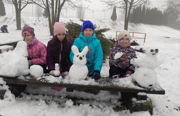 Základní škola, Česká Lípa, 28. října 2733, příspěvková organizace