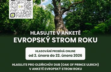 Základní škola, Česká Lípa, 28. října 2733, příspěvková organizace