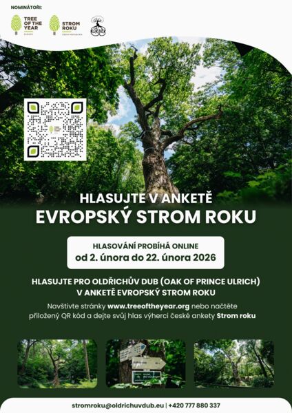 Oldřichův dub - hlasování