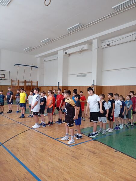 Vybíjená 5. tříd