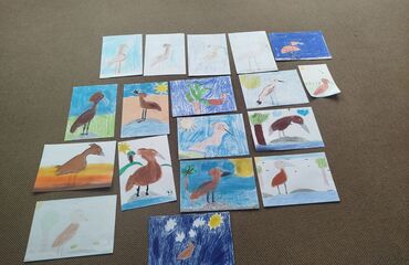 Základní škola, Česká Lípa, 28. října 2733, příspěvková organizace