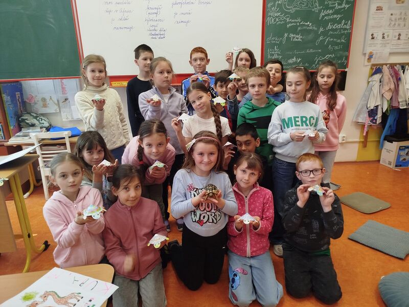 Tichá mise želvy pardálí aneb dobrodružství, které se plazí krokem