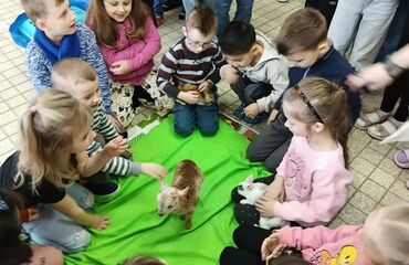 Základní škola, Česká Lípa, 28. října 2733, příspěvková organizace