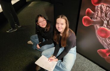 Základní škola, Česká Lípa, 28. října 2733, příspěvková organizace