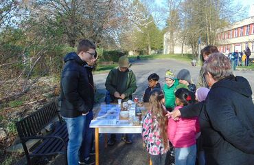 Základní škola, Česká Lípa, 28. října 2733, příspěvková organizace