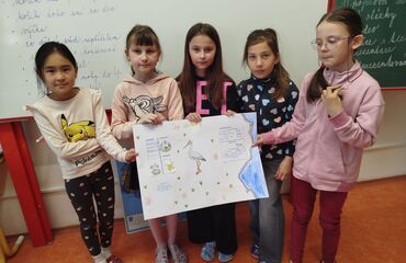 Šepot mokřadů a slunce aneb když kráčí nesyt