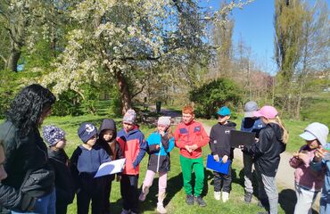 Základní škola, Česká Lípa, 28. října 2733, příspěvková organizace