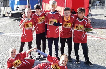 Základní škola, Česká Lípa, 28. října 2733, příspěvková organizace