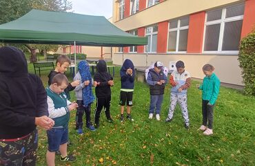 Základní škola, Česká Lípa, 28. října 2733, příspěvková organizace