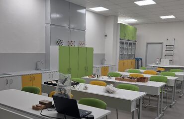 Základní škola, Česká Lípa, 28. října 2733, příspěvková organizace