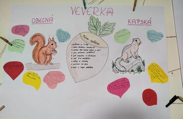 Základní škola, Česká Lípa, 28. října 2733, příspěvková organizace