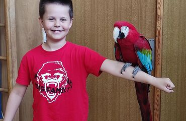 Papoušci na návštěvě ve školní družině
