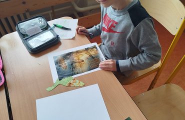 Obrázek galerie