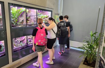 Obrázek galerie