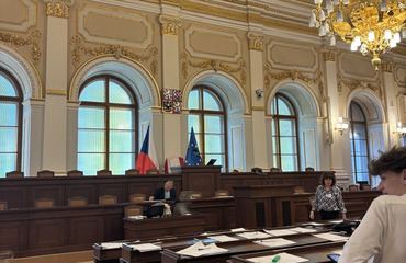 Obrázek galerie