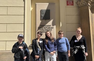 Obrázek galerie