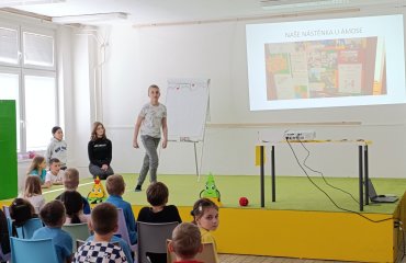 Obrázek galerie