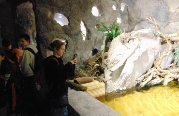 Obrázek galerie