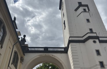 Obrázek galerie
