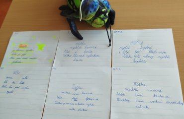 Obrázek galerie
