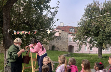 Obrázek galerie
